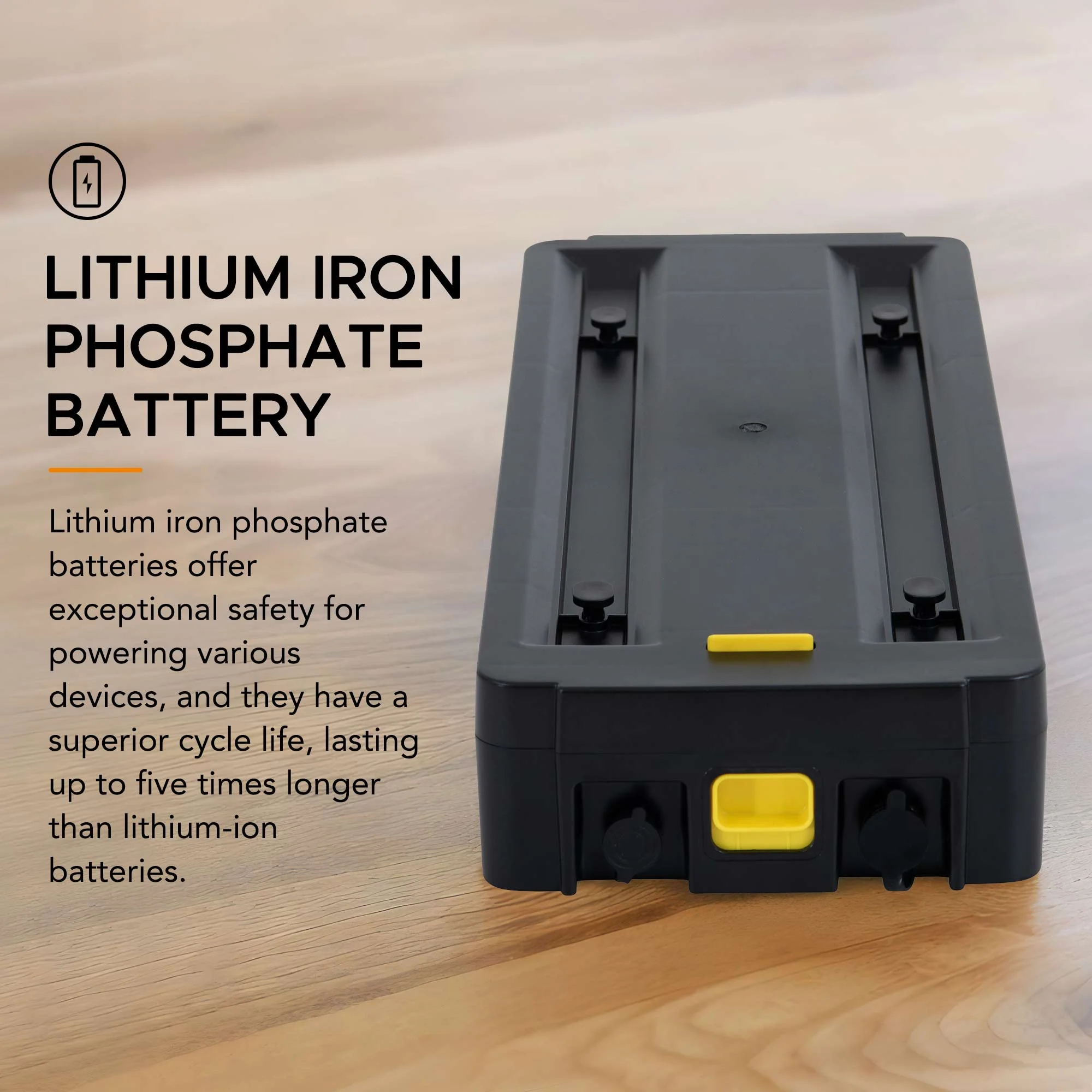 Rechargeable Lithium Iron Phosphate Battery - Image 5
